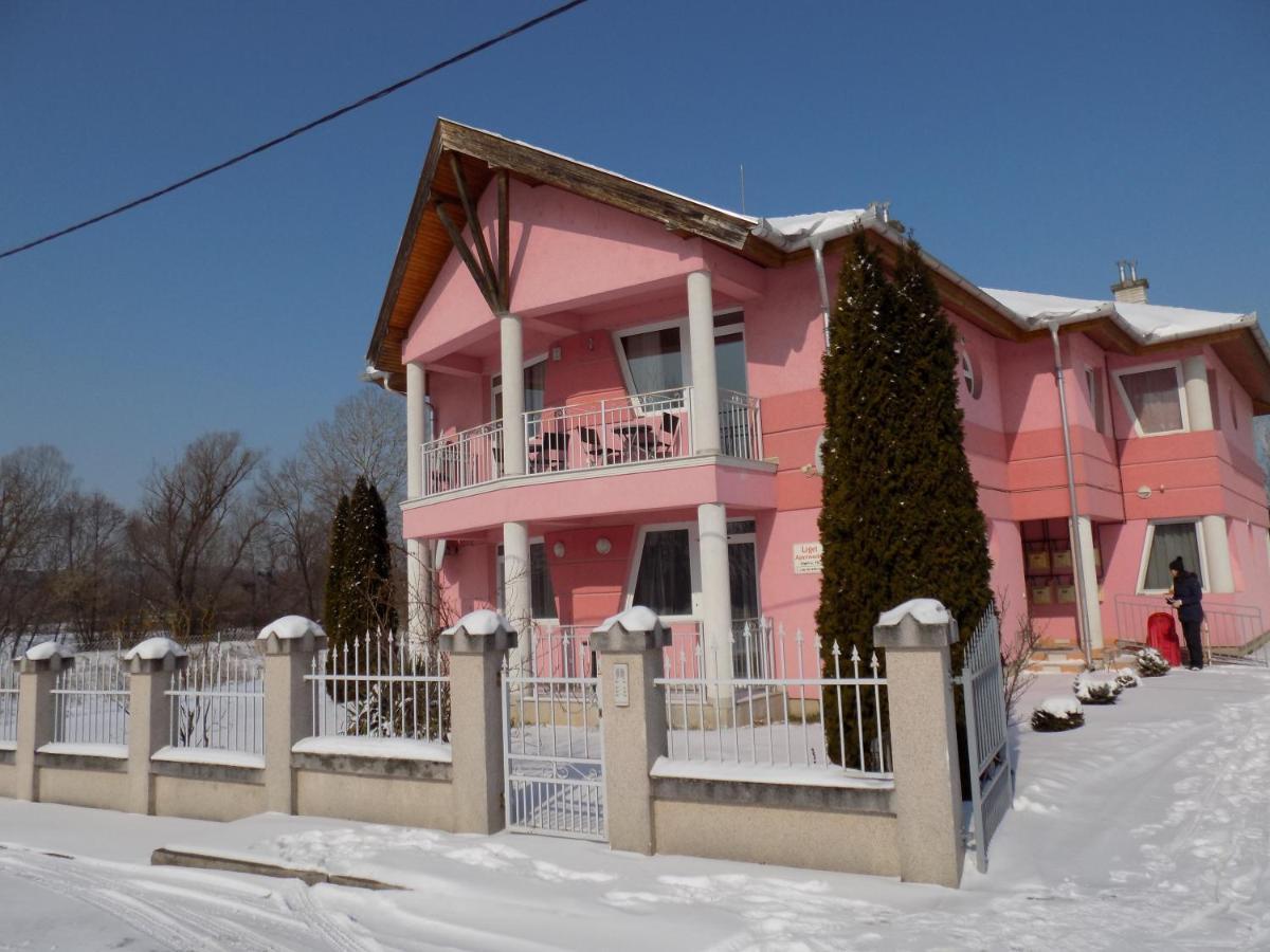 Liget Apartmanhaz Kehidakustány المظهر الخارجي الصورة